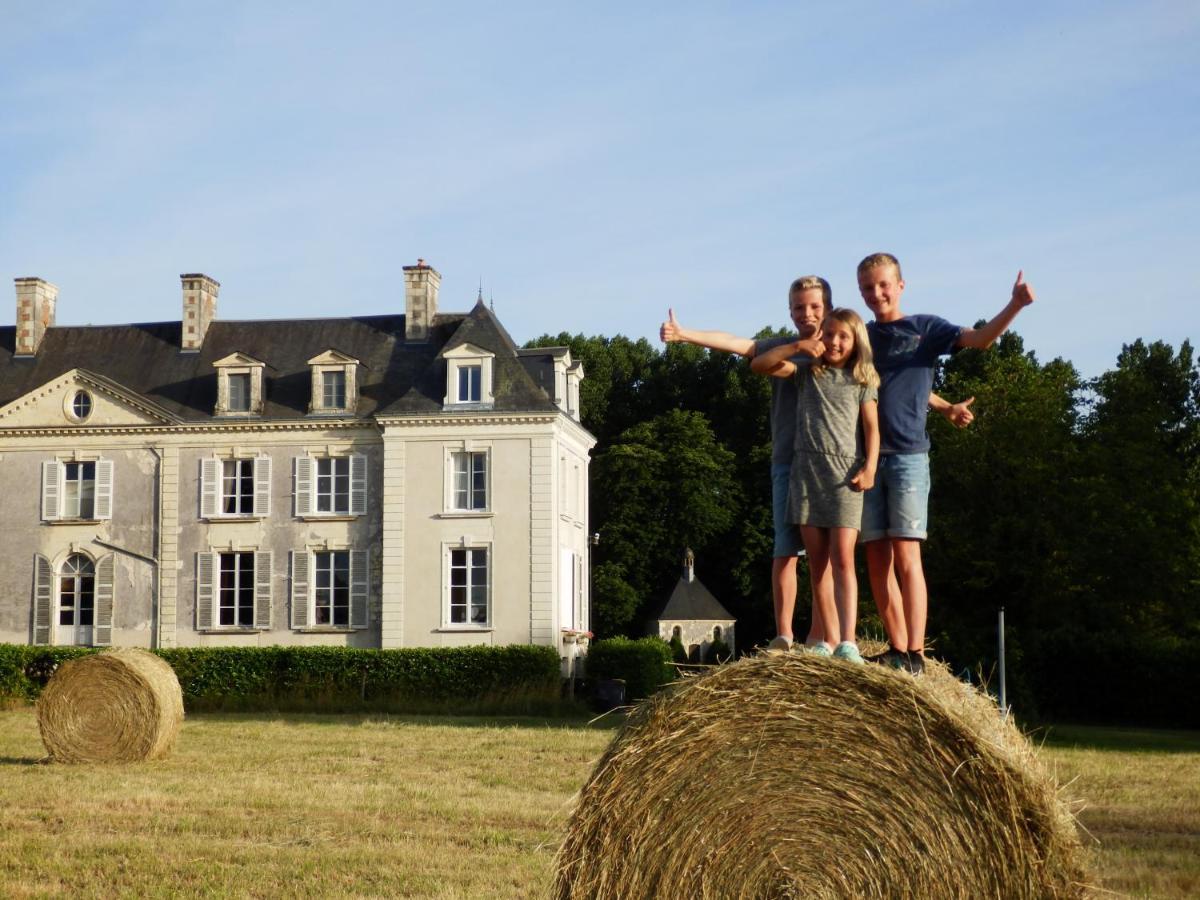 Chateau La Mothaye - Self Catering Apartments With Pool In The Loire Valley Les Bois-d'Anjou Dış mekan fotoğraf