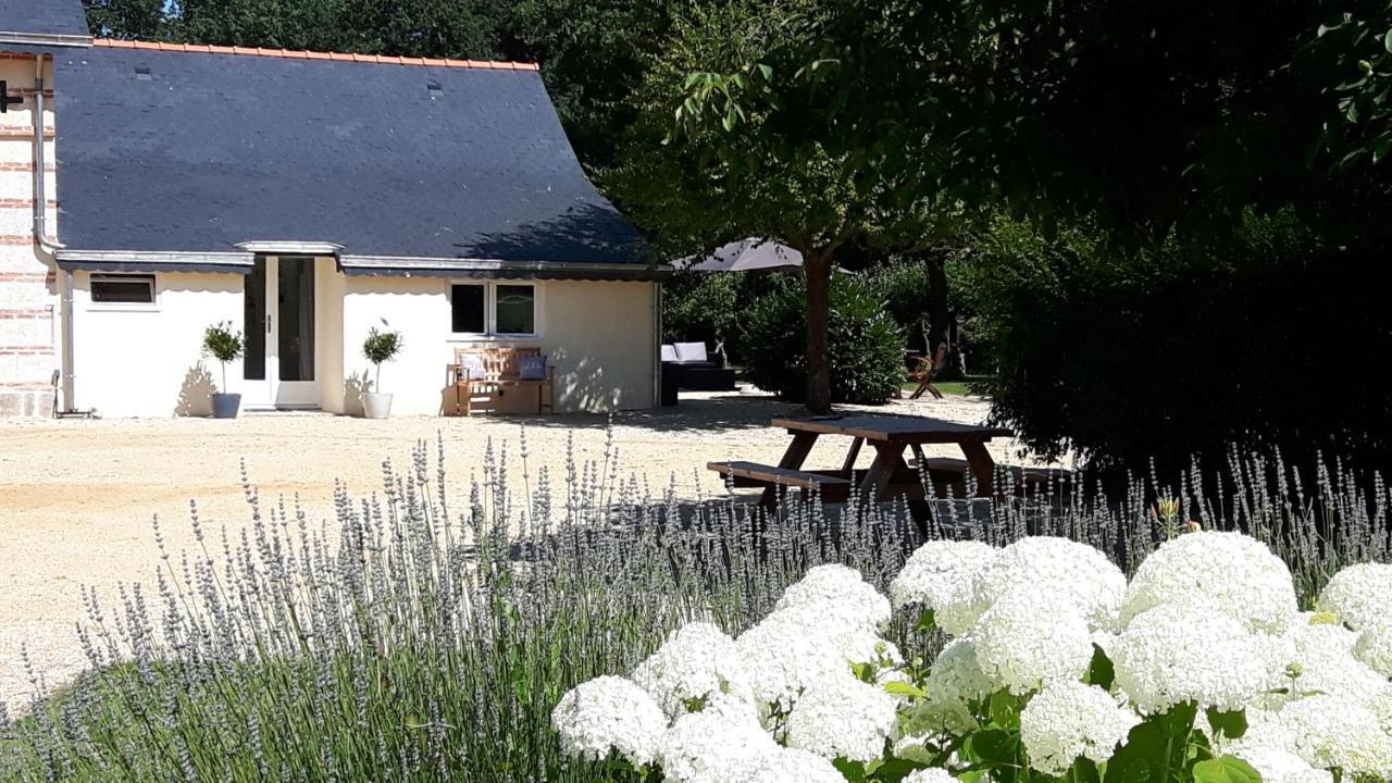 Chateau La Mothaye - Self Catering Apartments With Pool In The Loire Valley Les Bois-d'Anjou Dış mekan fotoğraf
