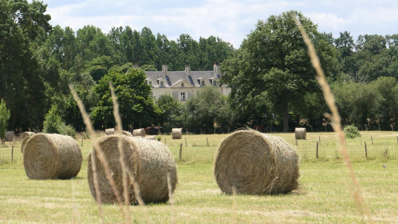 Chateau La Mothaye - Self Catering Apartments With Pool In The Loire Valley Les Bois-d'Anjou Dış mekan fotoğraf