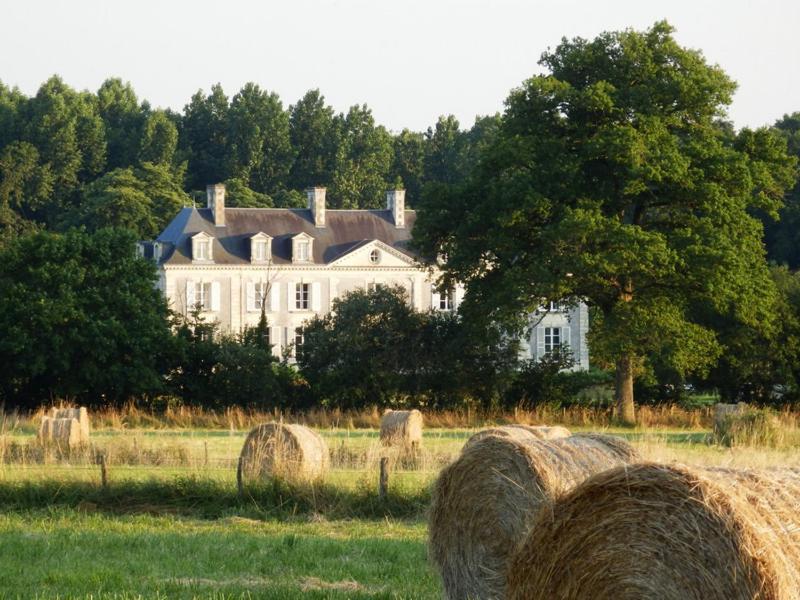 Chateau La Mothaye - Self Catering Apartments With Pool In The Loire Valley Les Bois-d'Anjou Oda fotoğraf